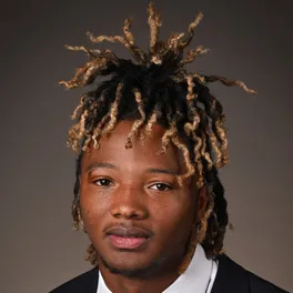 Audavion Collins